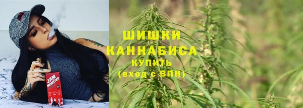 дурь Бородино