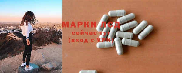 дурь Бородино