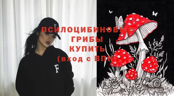 дурь Бородино